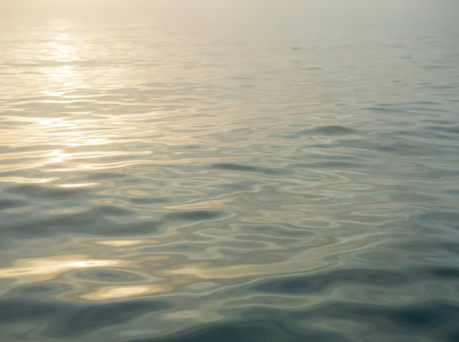 Open coastal water at golden hour